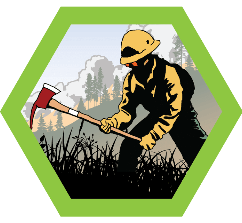 Wildland Fire Management