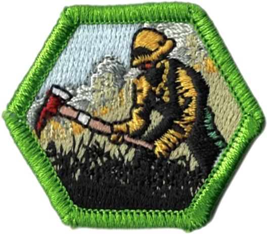 Produced Patch